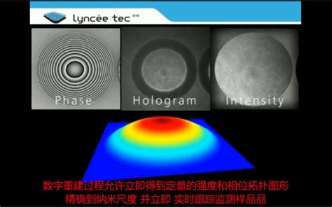 全息論|全像原理